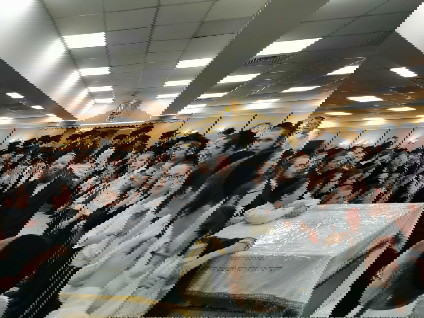 צפו: ריקוד ה'שורות' בקהילת המתמידים