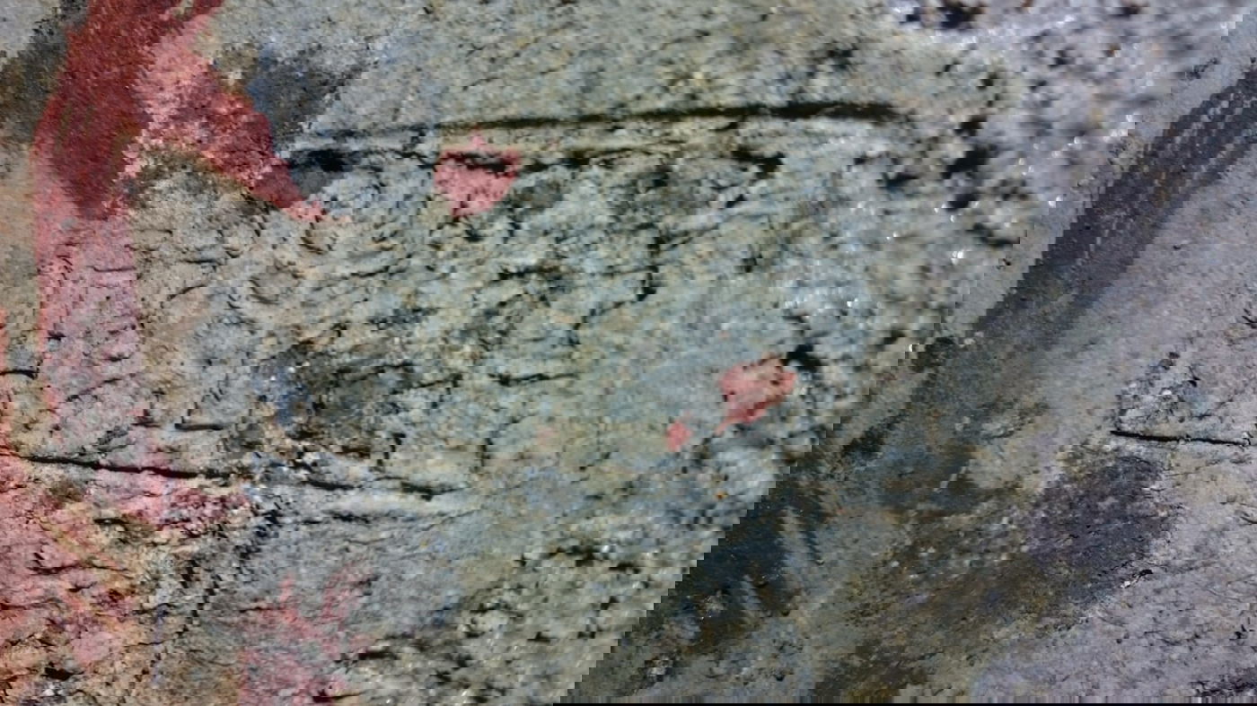 אלפי קברים יהודיים עתיקים נמצאו ברומא, עם עדות לקהילה טריפוליטאית