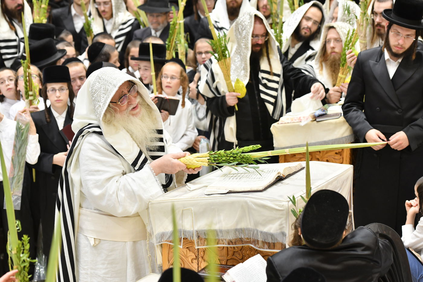 'הושענא רבה' וההקפות שניות בחסידות צאנז