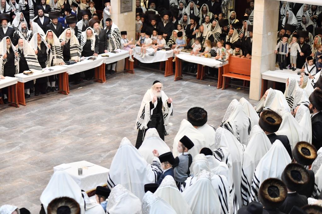 כך חגגו את חגי תשרי בחצר הקודש ויז'ניץ