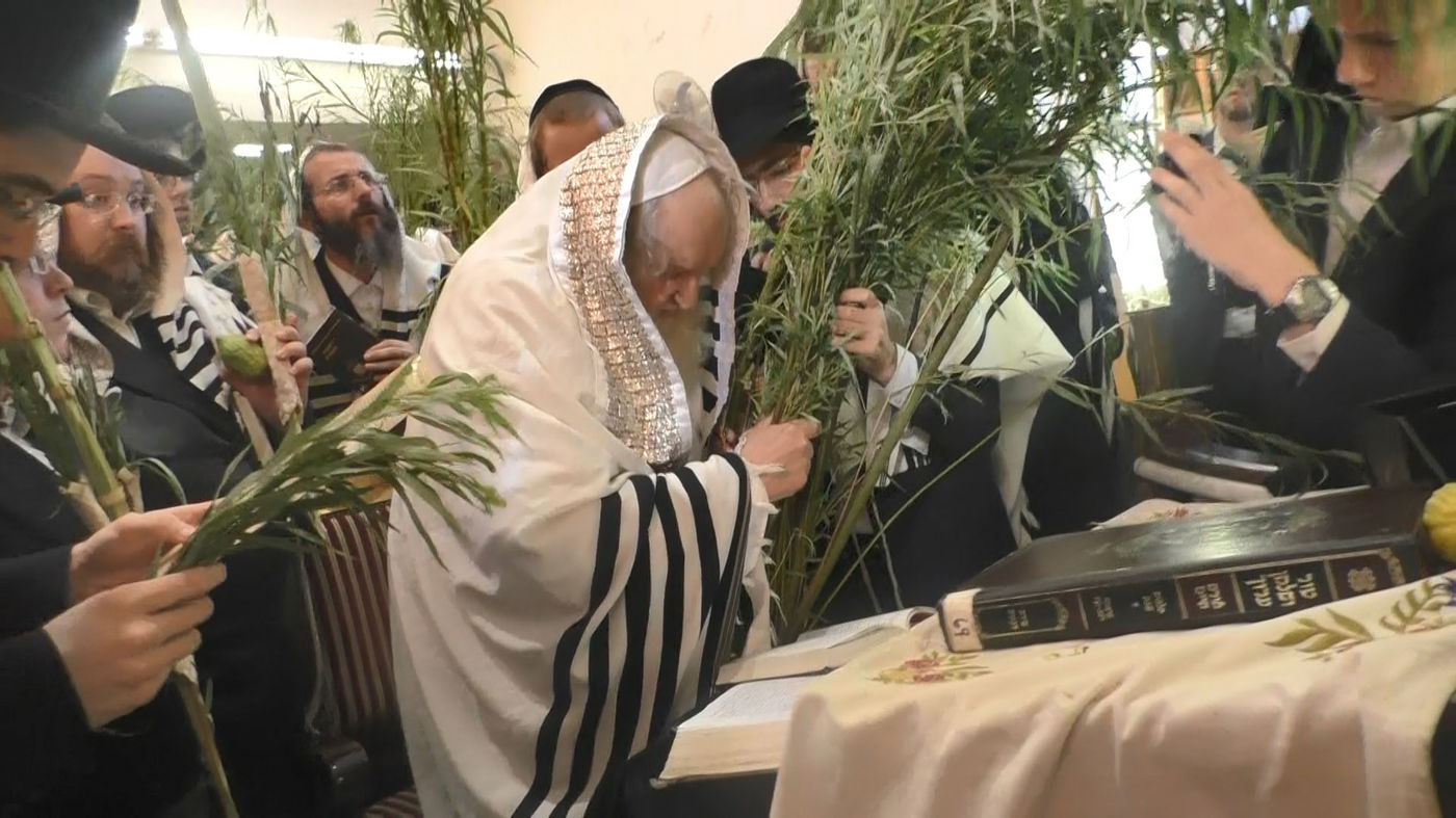 גלריה מסכמת: חג הסוכות אצל הגר"מ שטרנבוך