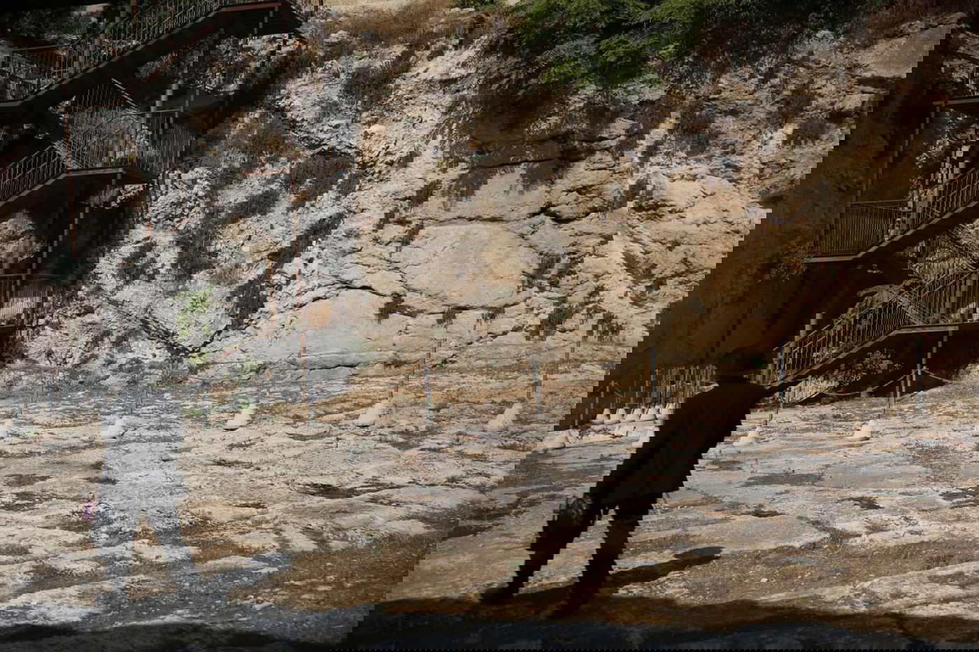 הצרפתים נכנעו ופתחו את קברי המלכים • תיעוד מיוחד