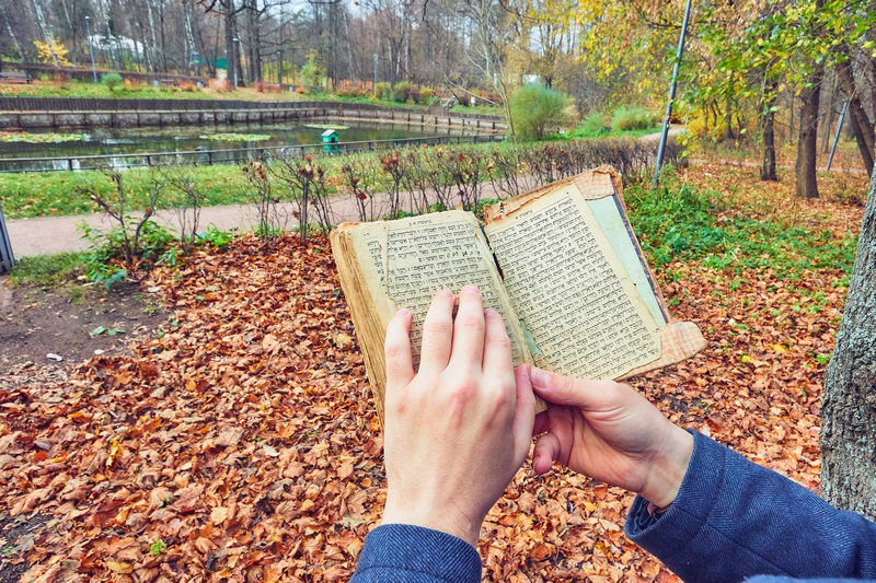 'סתיו הזהב' בפארק הגדול ביותר של אירופה • גלריה מרהיבה