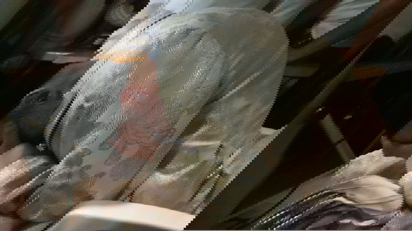 תושבים לרב קוק: "אם תלך - כולנו אחריך" 