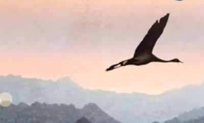 הרב צביאלי וישיבת מצפה יריחו: 'וכל החיים'