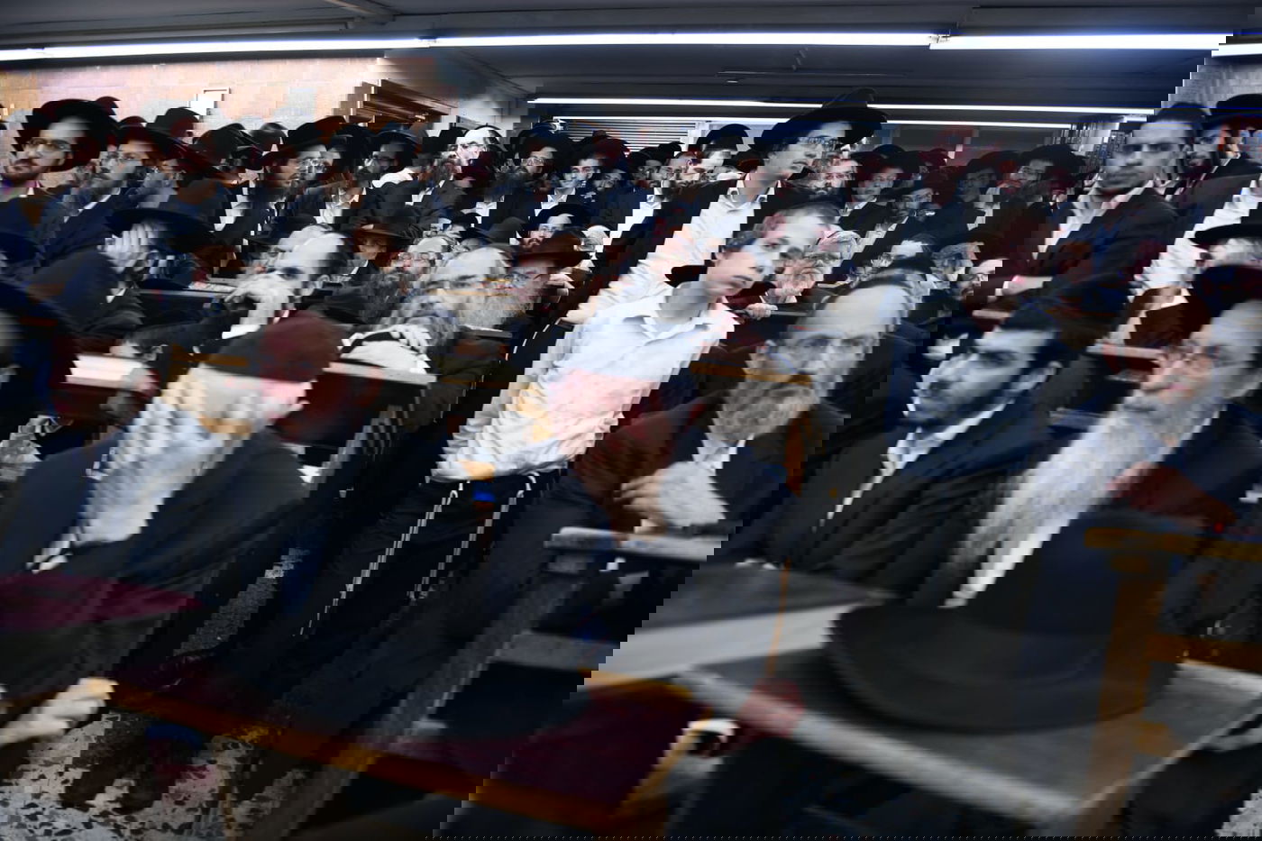 בכולל חזון איש: עצרת מספד להגר"נ קרליץ