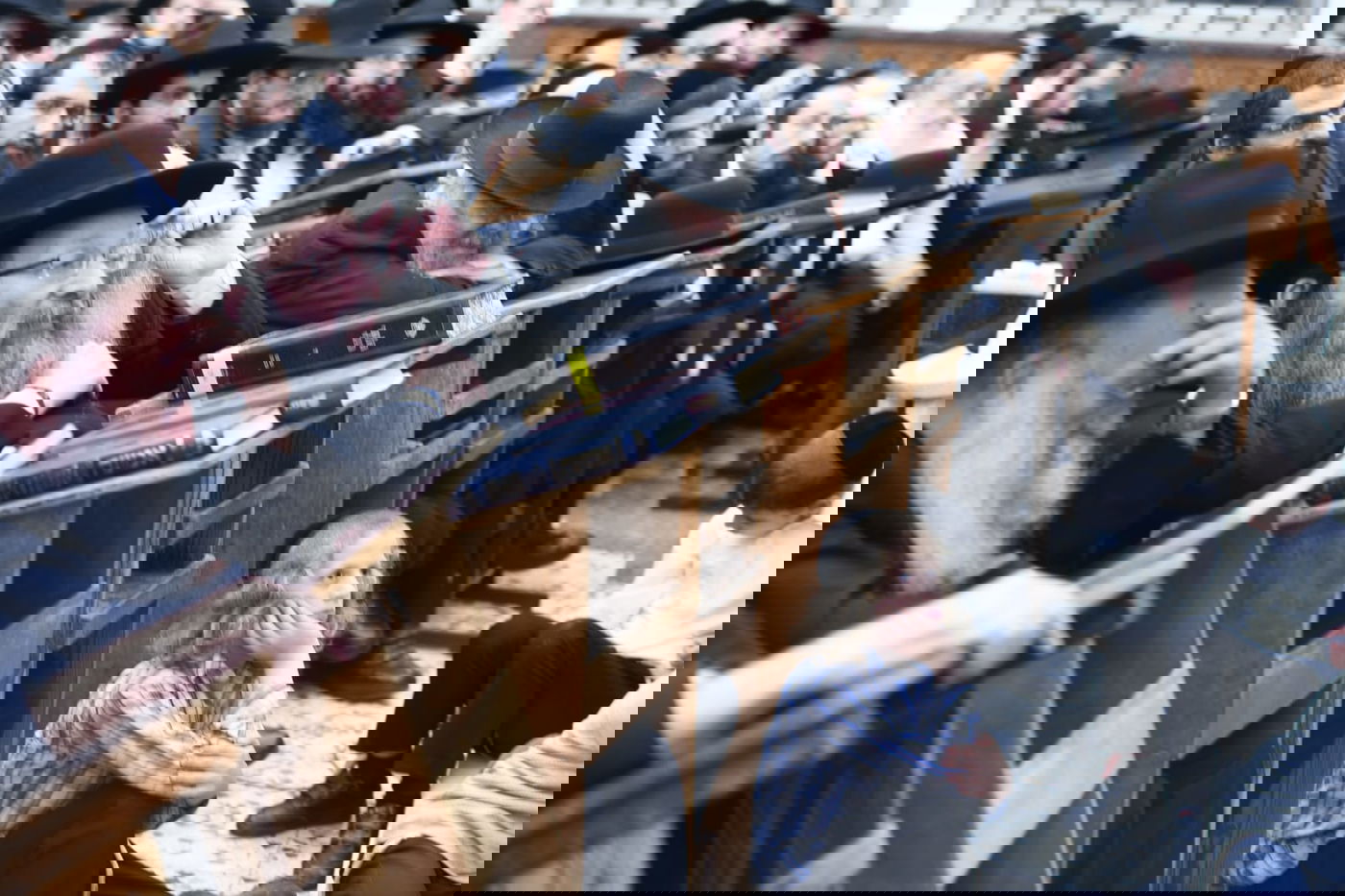 בכולל חזון איש: עצרת מספד להגר"נ קרליץ