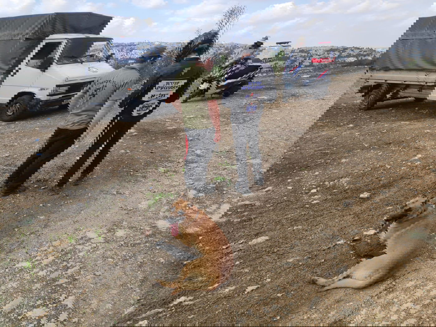 תיעוד: חיפושים נרחבים אחרי יוכבד קורן, נעדרת חרדית