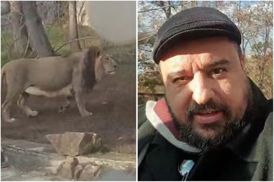 צפו: המקובל "מפעיל" את המלאכים והאריה שואג