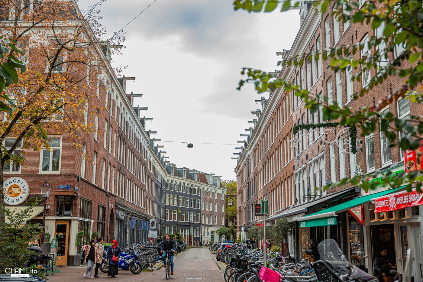 לא רק טחנות רוח: תיעוד מרהיב מאמסטרדם