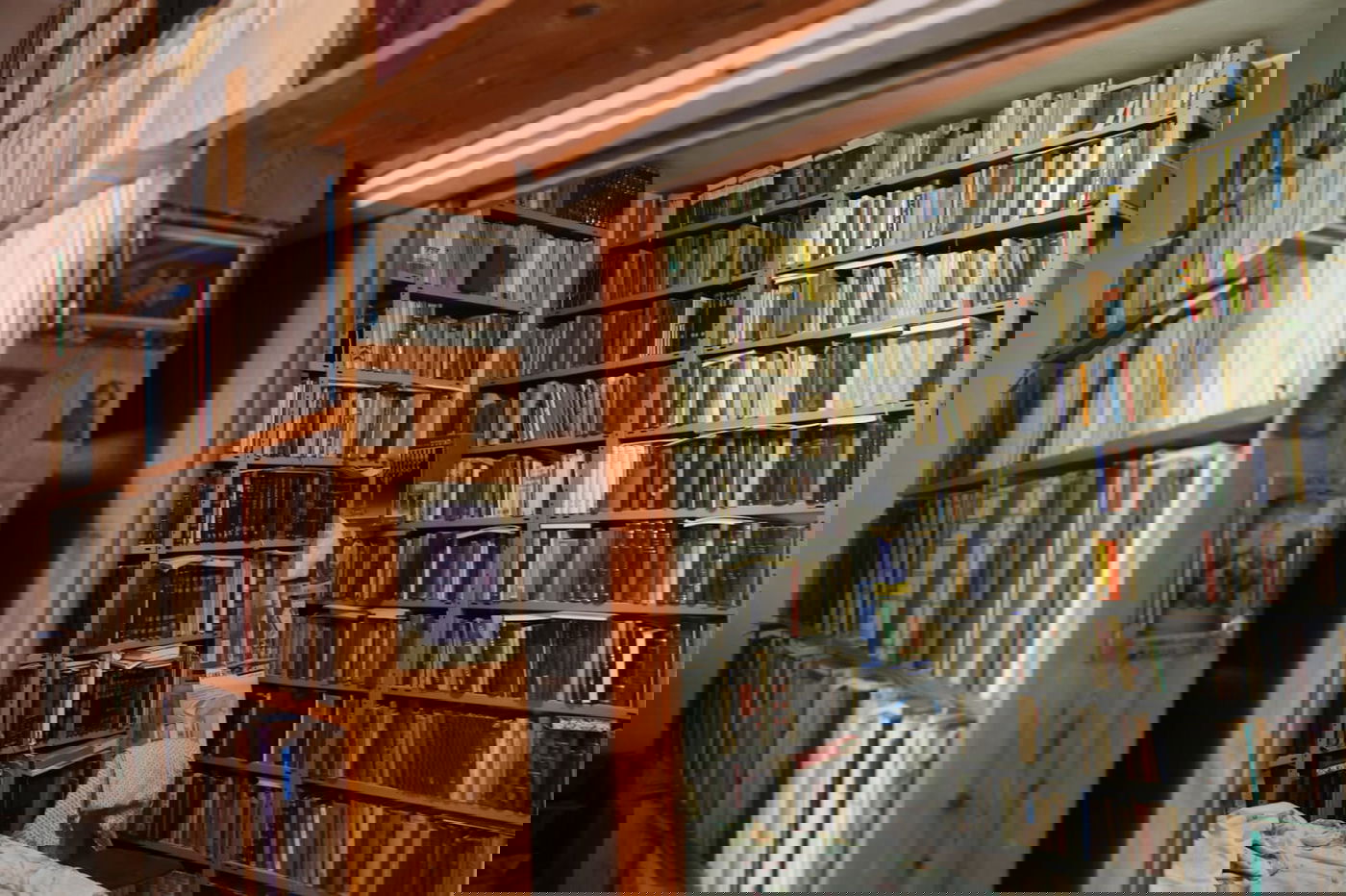 בן ה-90 שרוכש בכל יום ספר חדש • תיעוד