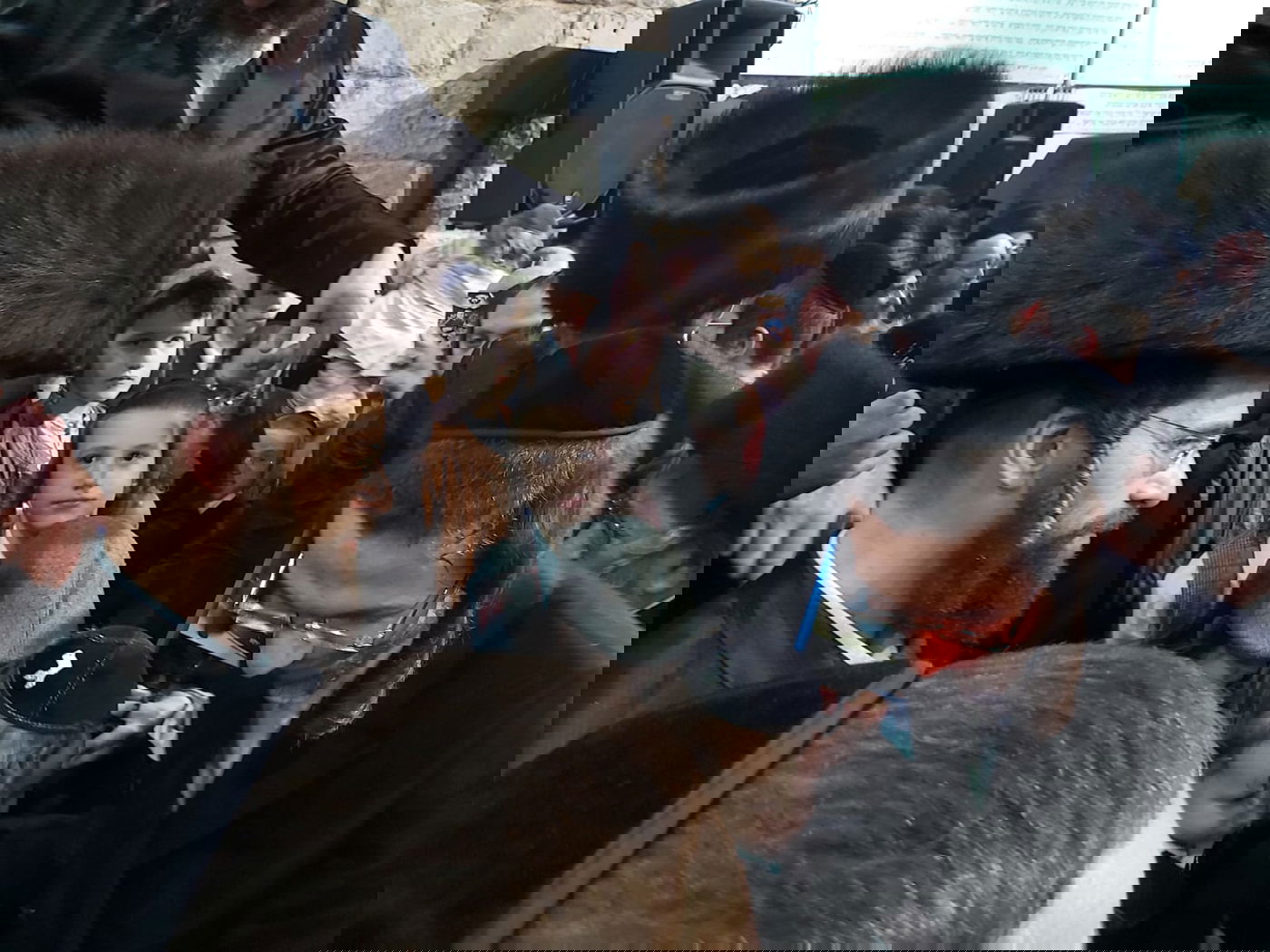 קהילת ה'מתמידים' בשבת התאחדות במירון