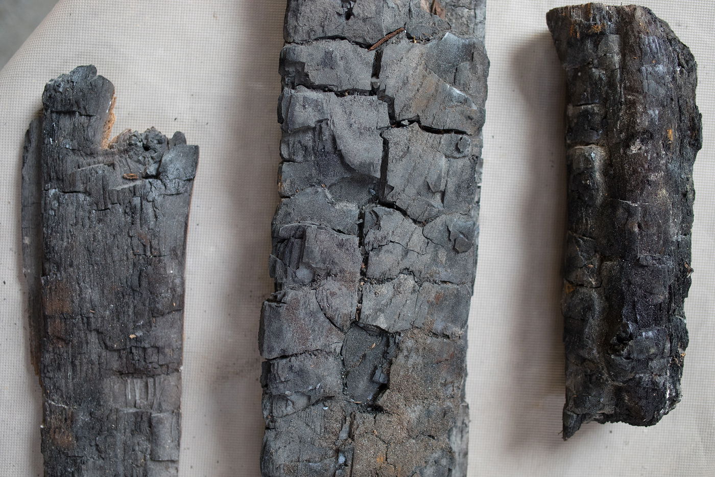 וינה: שרידי בית הכנסת שהנאצים הסתירו - התגלה