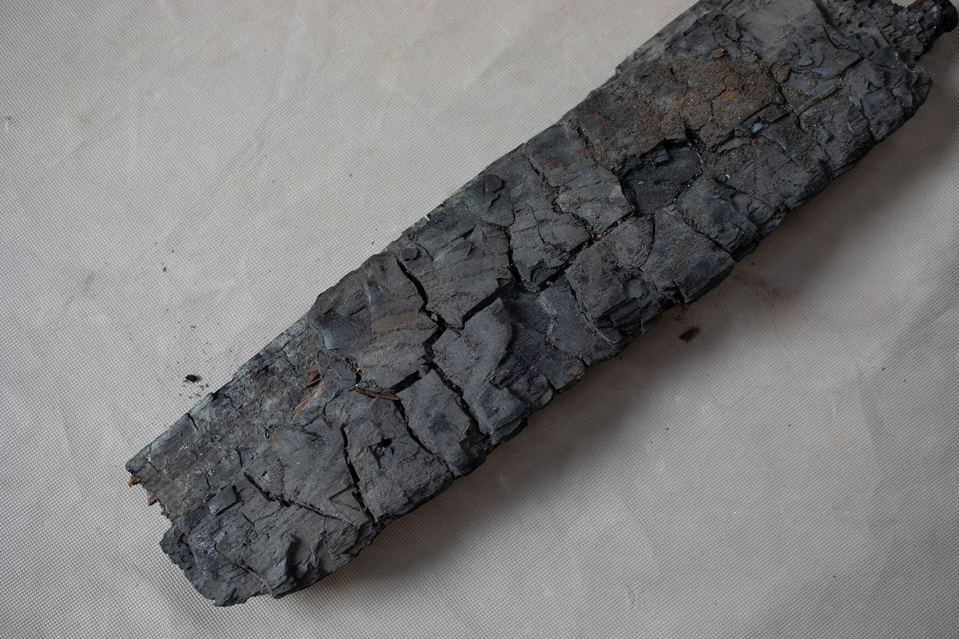 וינה: שרידי בית הכנסת שהנאצים הסתירו - התגלה