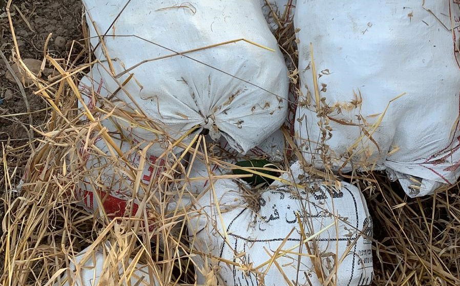 האבוקדו שנמצא בשקים