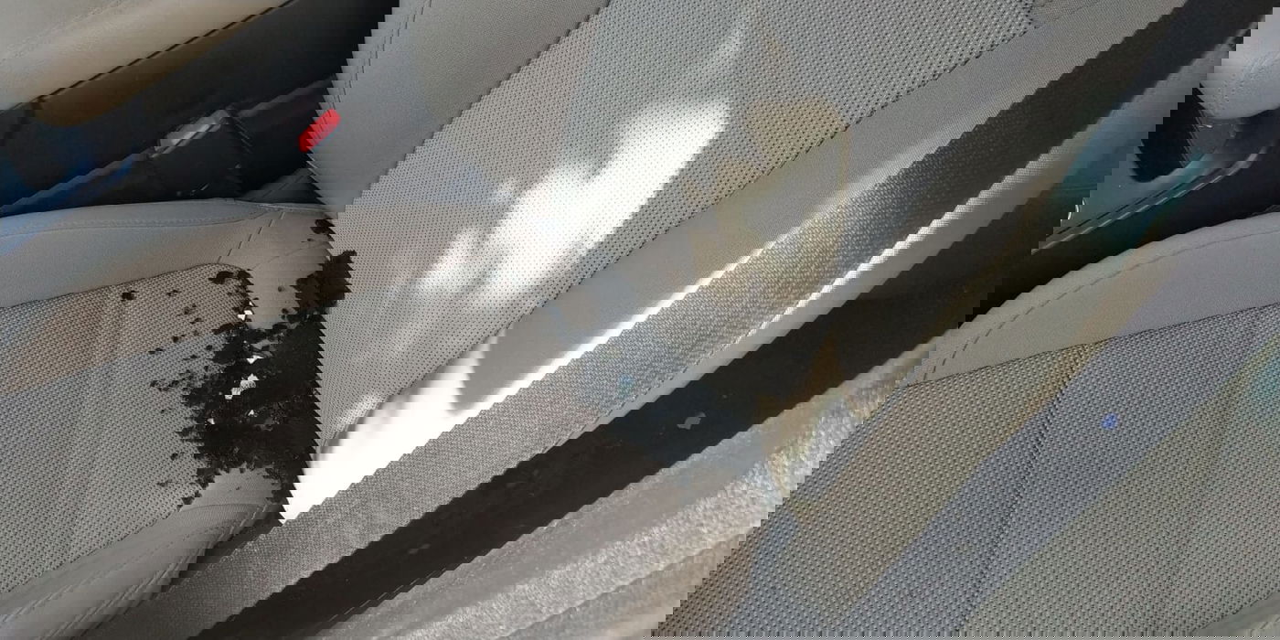 הפגיעות ברכב