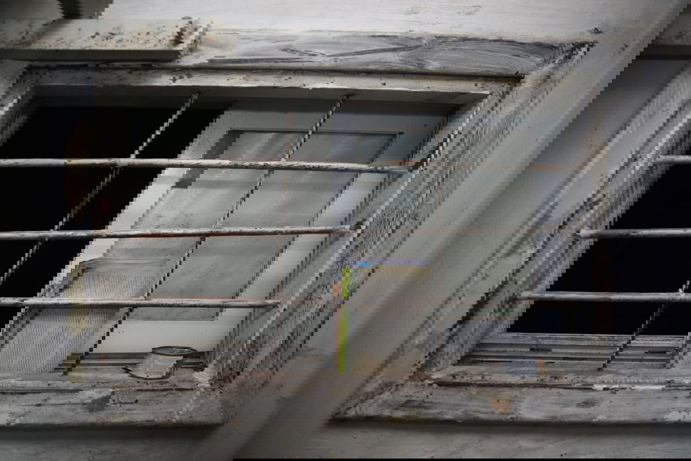 השריפה בירושלים: "הילדים עמדו בחלון וצעקו"