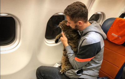 גאלין והחתולה השמנה