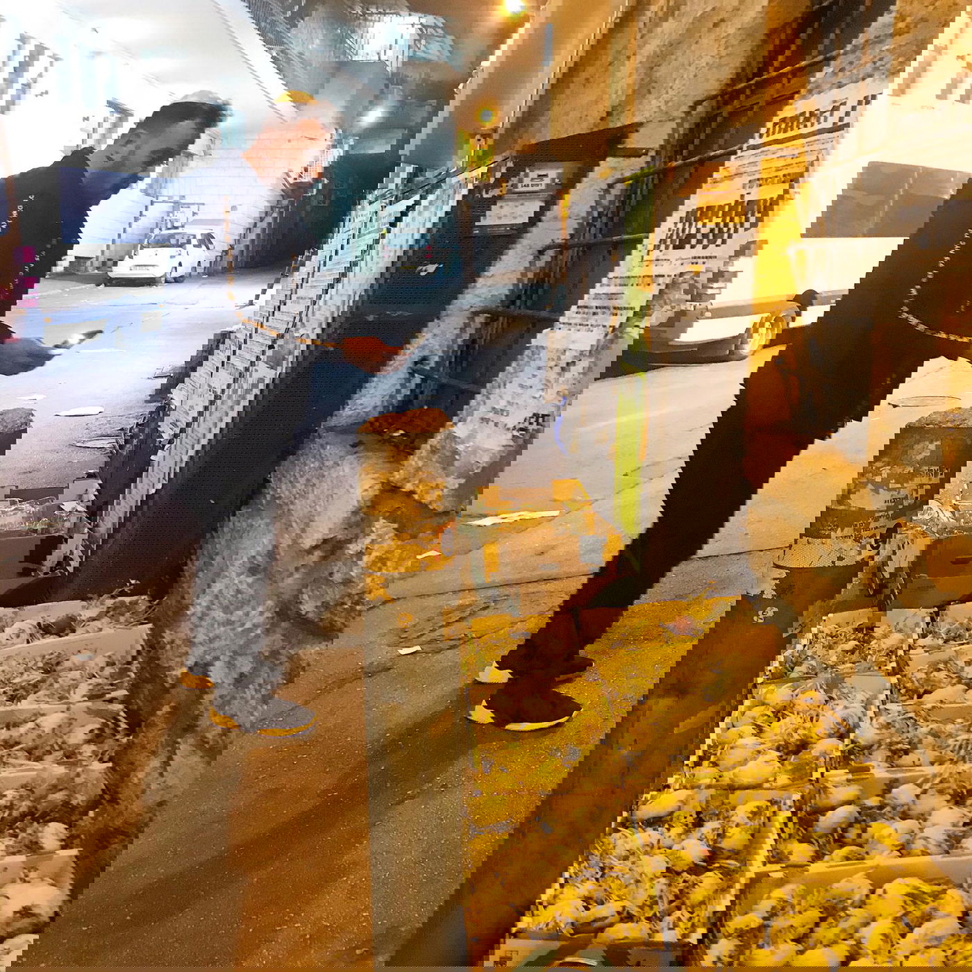 תיעוד: הקומיקאי ניקי גולדשטיין סייר במא"ש