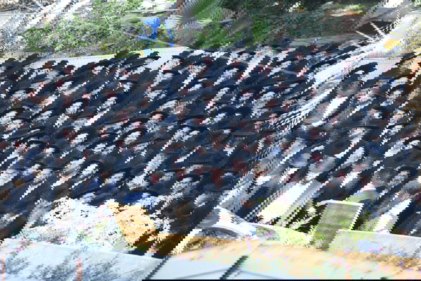 ה'חזונאישניקים' ליוו את רבם למנוחות. תיעוד