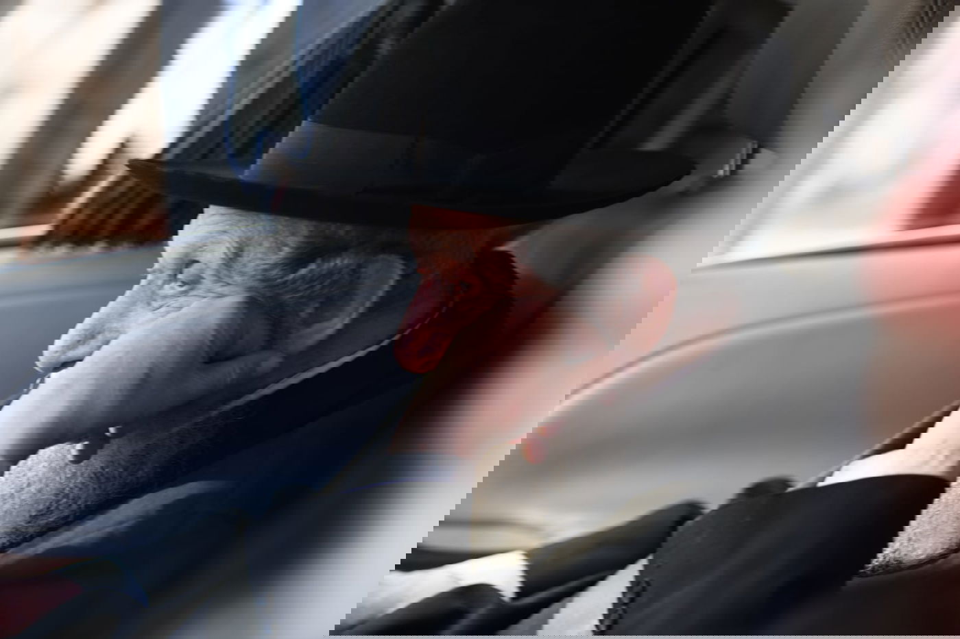 ה'חזונאישניקים' ליוו את רבם למנוחות. תיעוד