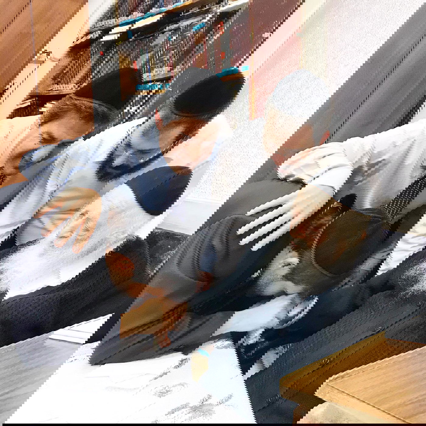 מתחזק: פאר טסי קיבל את ברכת שר התורה