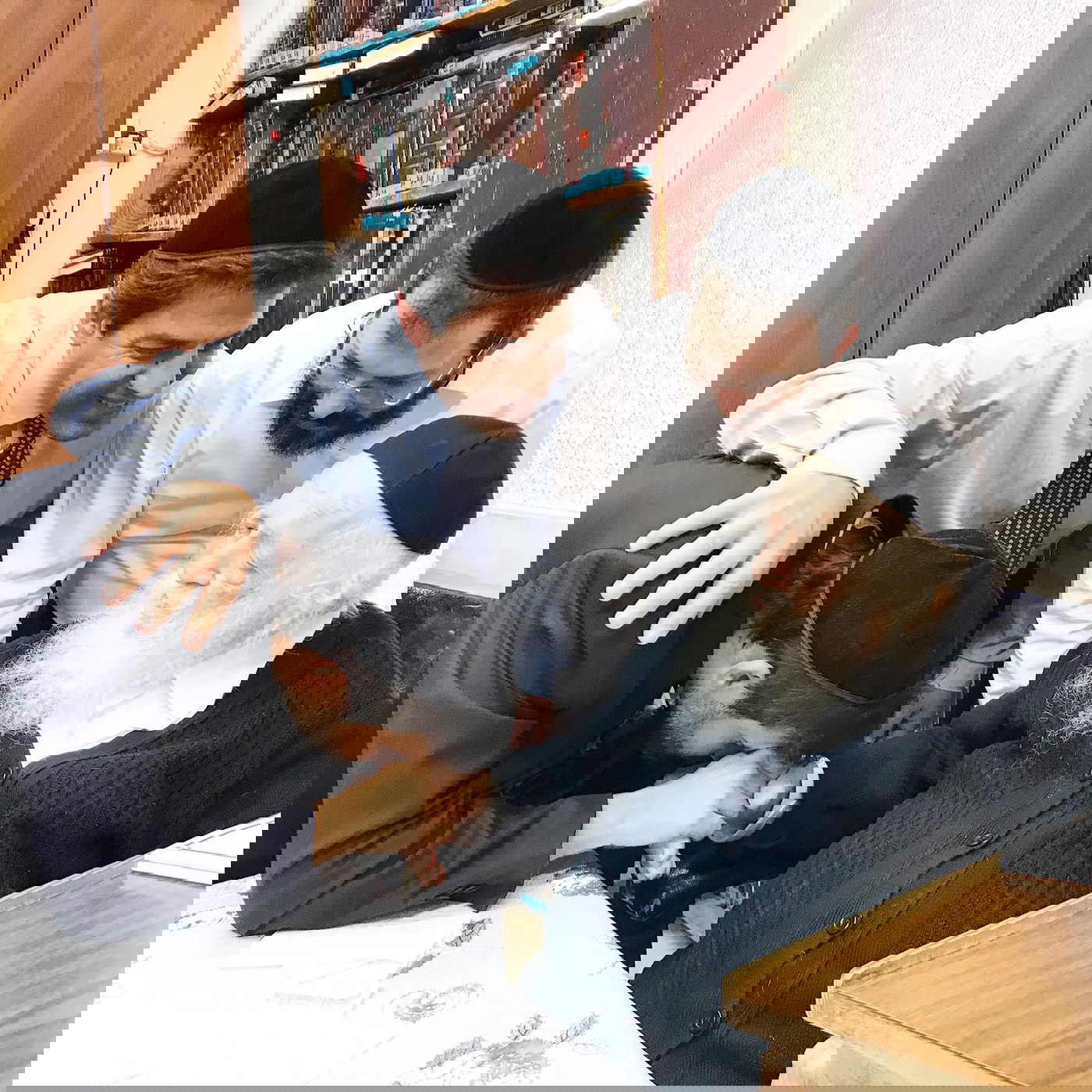 מתחזק: פאר טסי קיבל את ברכת שר התורה