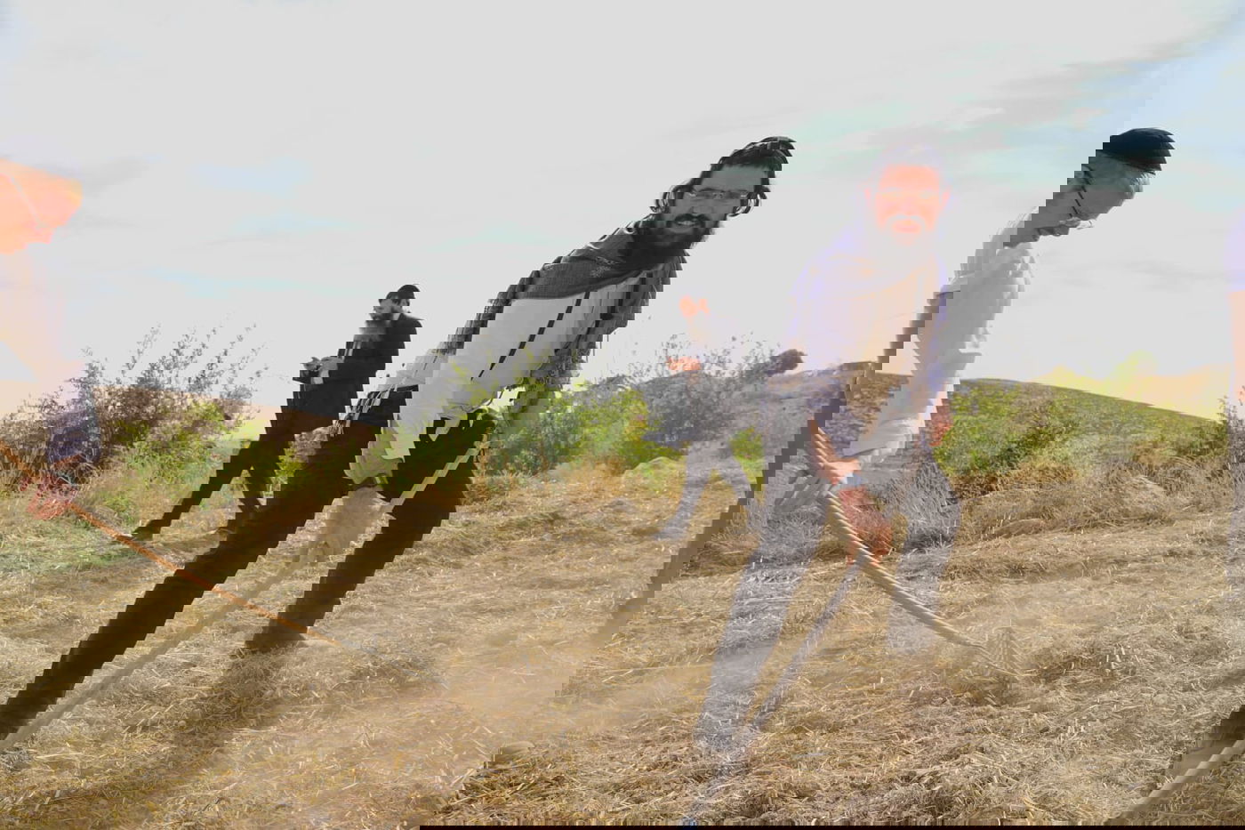 עם התפילין לראשם: האברכים יצאו לזרוע חיטים