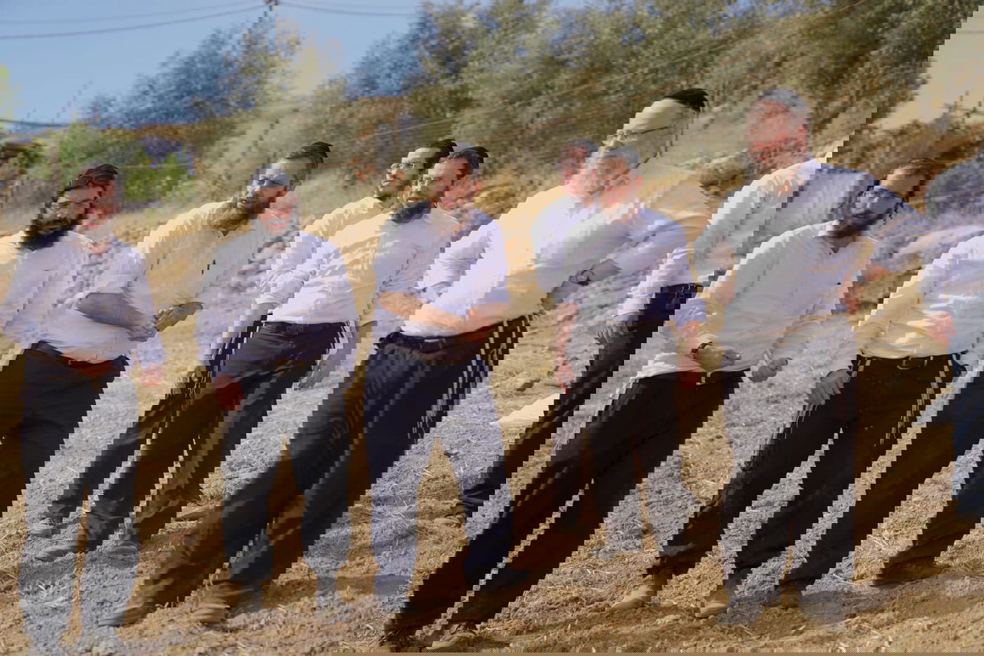 עם התפילין לראשם: האברכים יצאו לזרוע חיטים