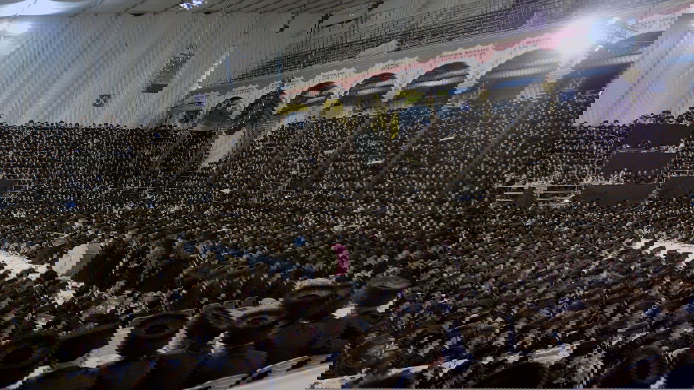 'מלכויות של מטה' • פרק 1: נקמתו של סנדר