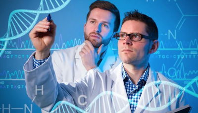 אילוסטרציה