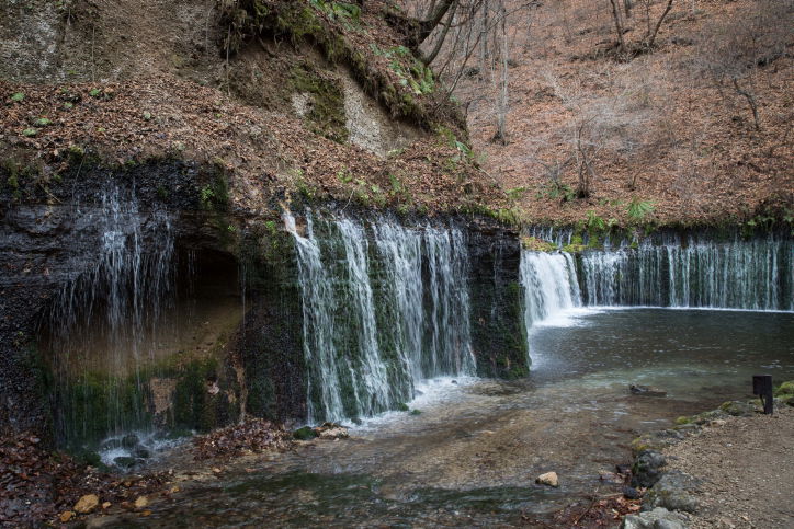 גלריה מרהיבה מנופיה היחודיים של יפן • צפו