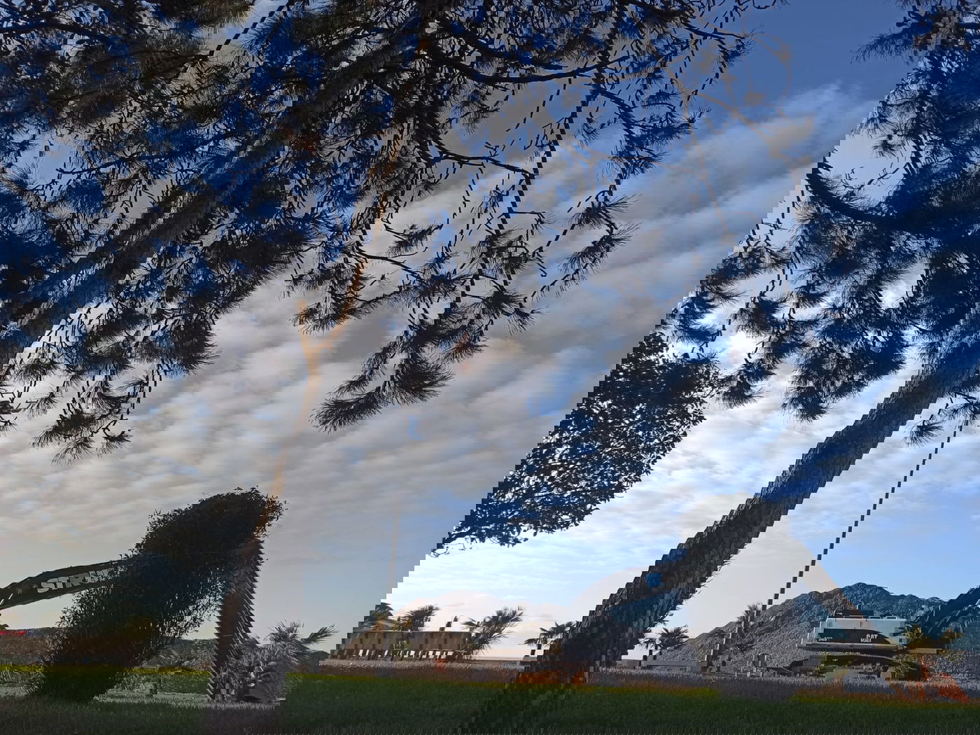 יופי גיאורגי כזה עוד לא ראיתם • תיעוד נרחב