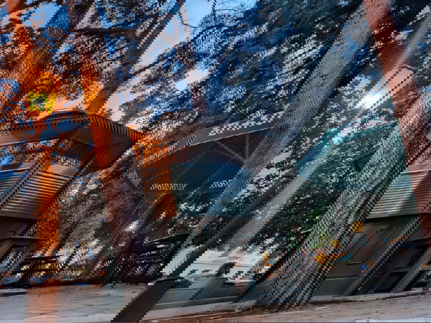 יופי גיאורגי כזה עוד לא ראיתם • תיעוד נרחב