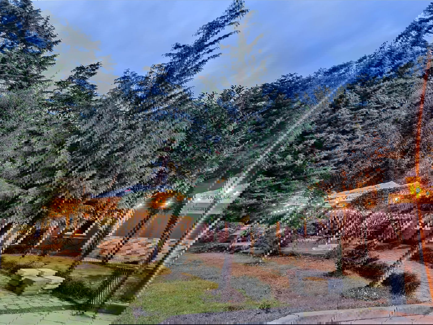 יופי גיאורגי כזה עוד לא ראיתם • תיעוד נרחב