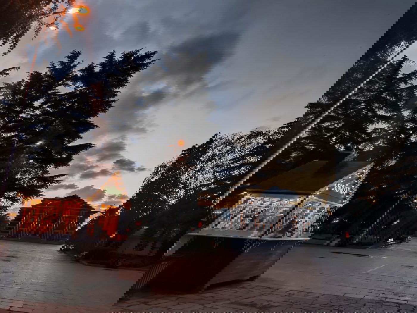 יופי גיאורגי כזה עוד לא ראיתם • תיעוד נרחב