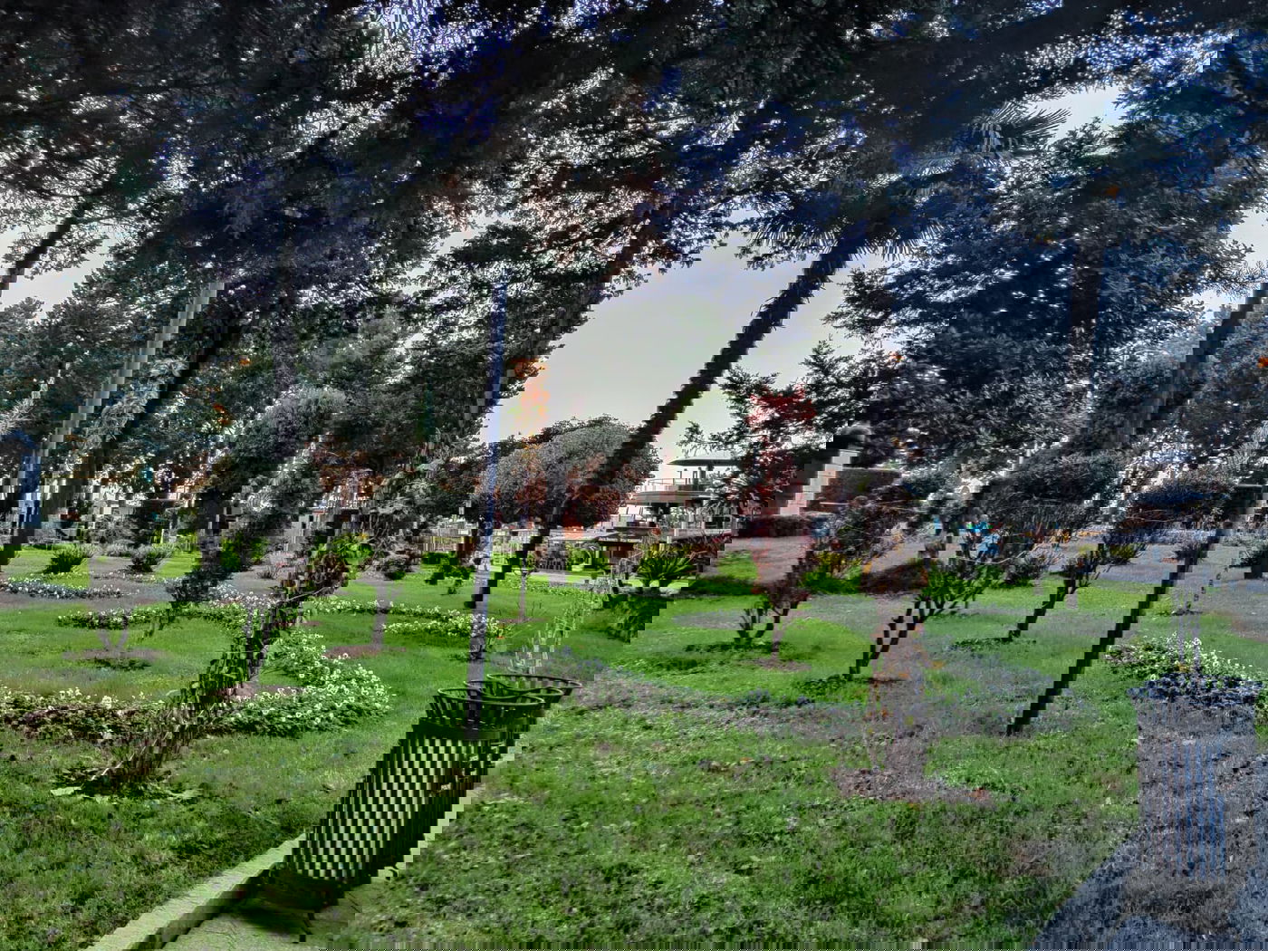 יופי גיאורגי כזה עוד לא ראיתם • תיעוד נרחב