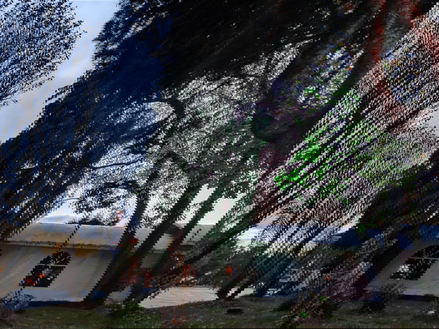 יופי גיאורגי כזה עוד לא ראיתם • תיעוד נרחב