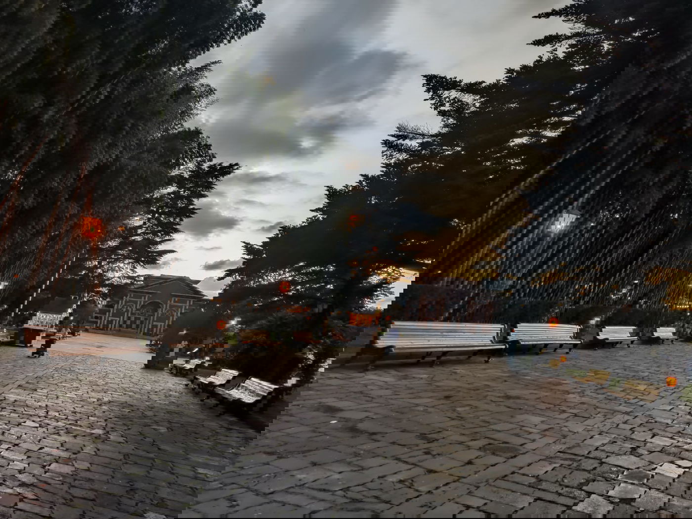 יופי גיאורגי כזה עוד לא ראיתם • תיעוד נרחב