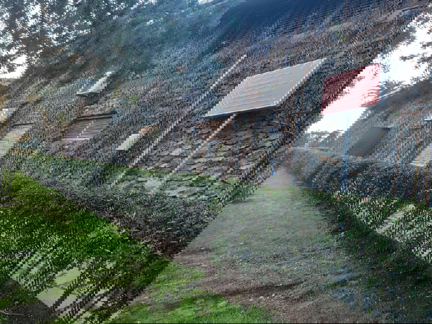 יופי גיאורגי כזה עוד לא ראיתם • תיעוד נרחב