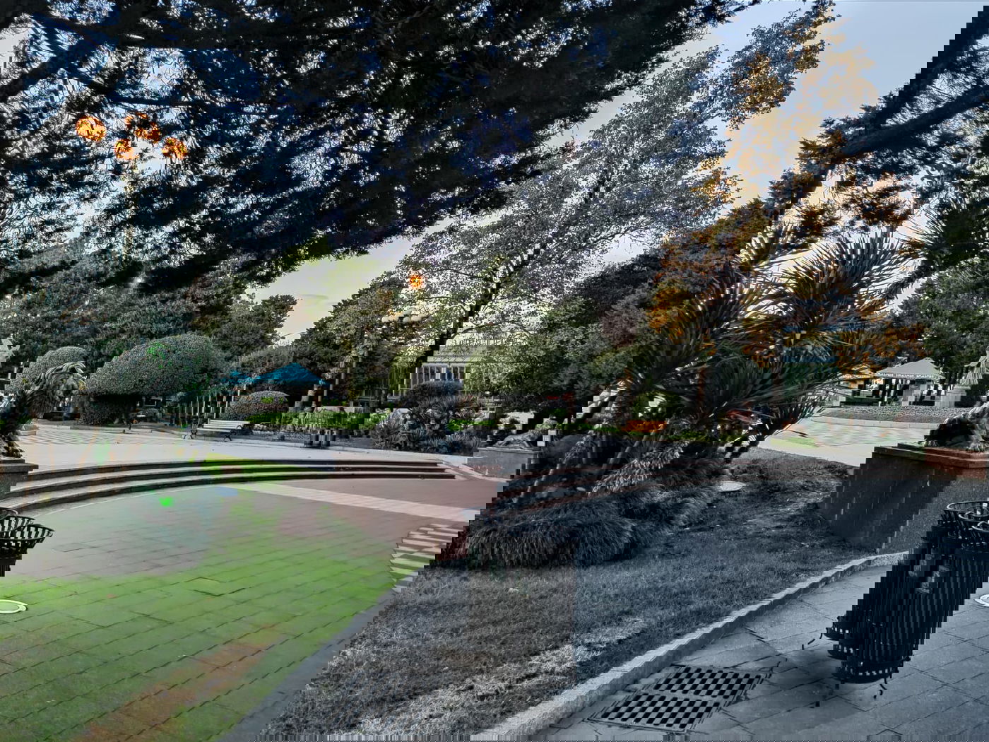 יופי גיאורגי כזה עוד לא ראיתם • תיעוד נרחב