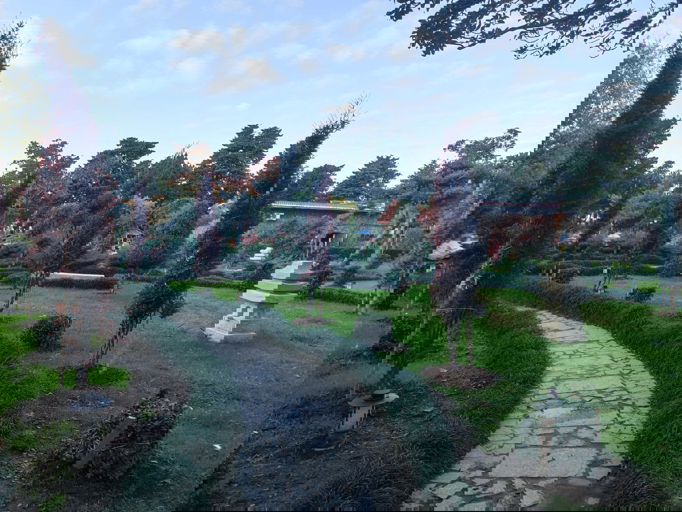 יופי גיאורגי כזה עוד לא ראיתם • תיעוד נרחב