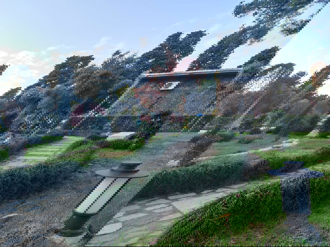 יופי גיאורגי כזה עוד לא ראיתם • תיעוד נרחב