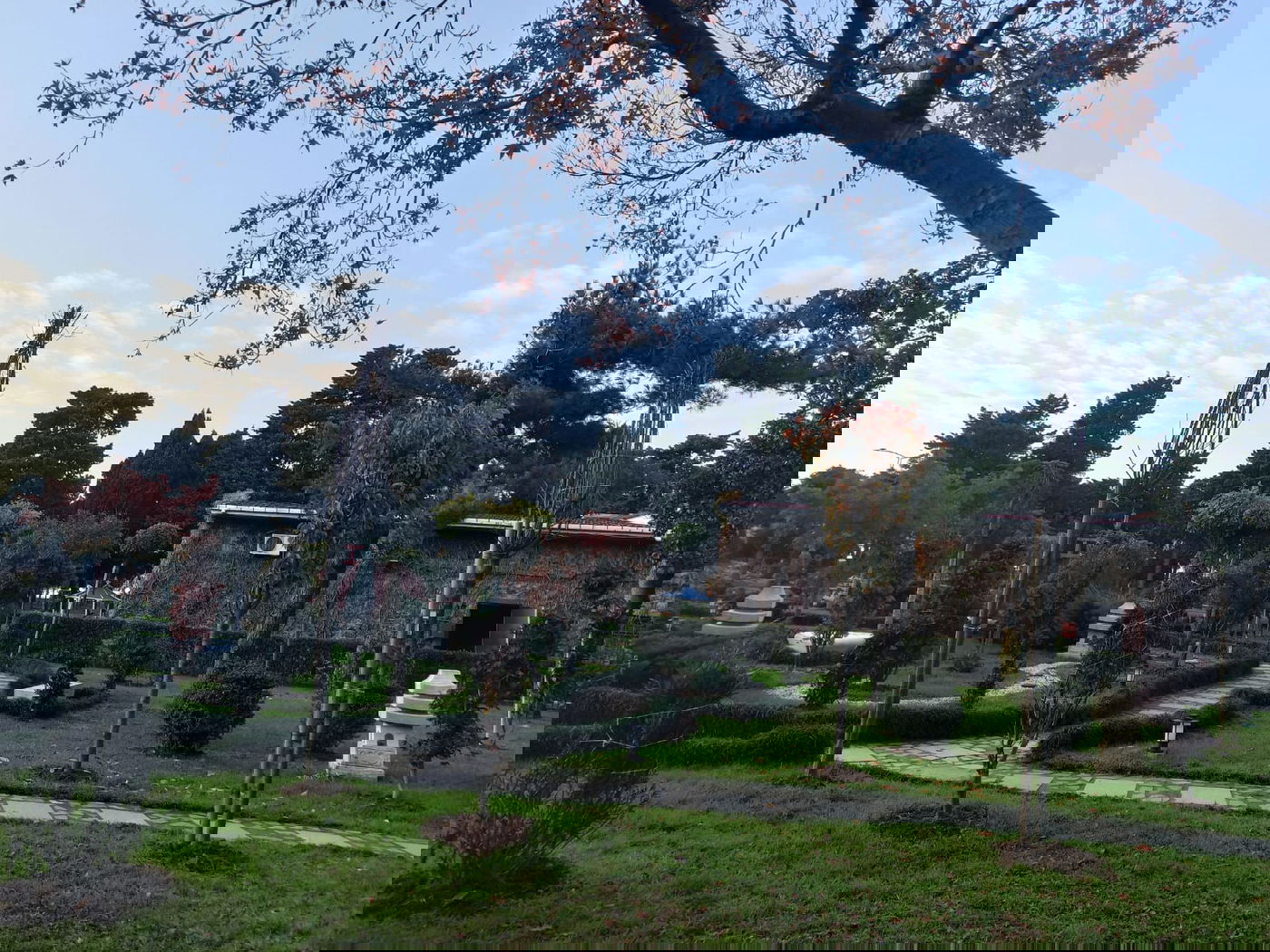 יופי גיאורגי כזה עוד לא ראיתם • תיעוד נרחב