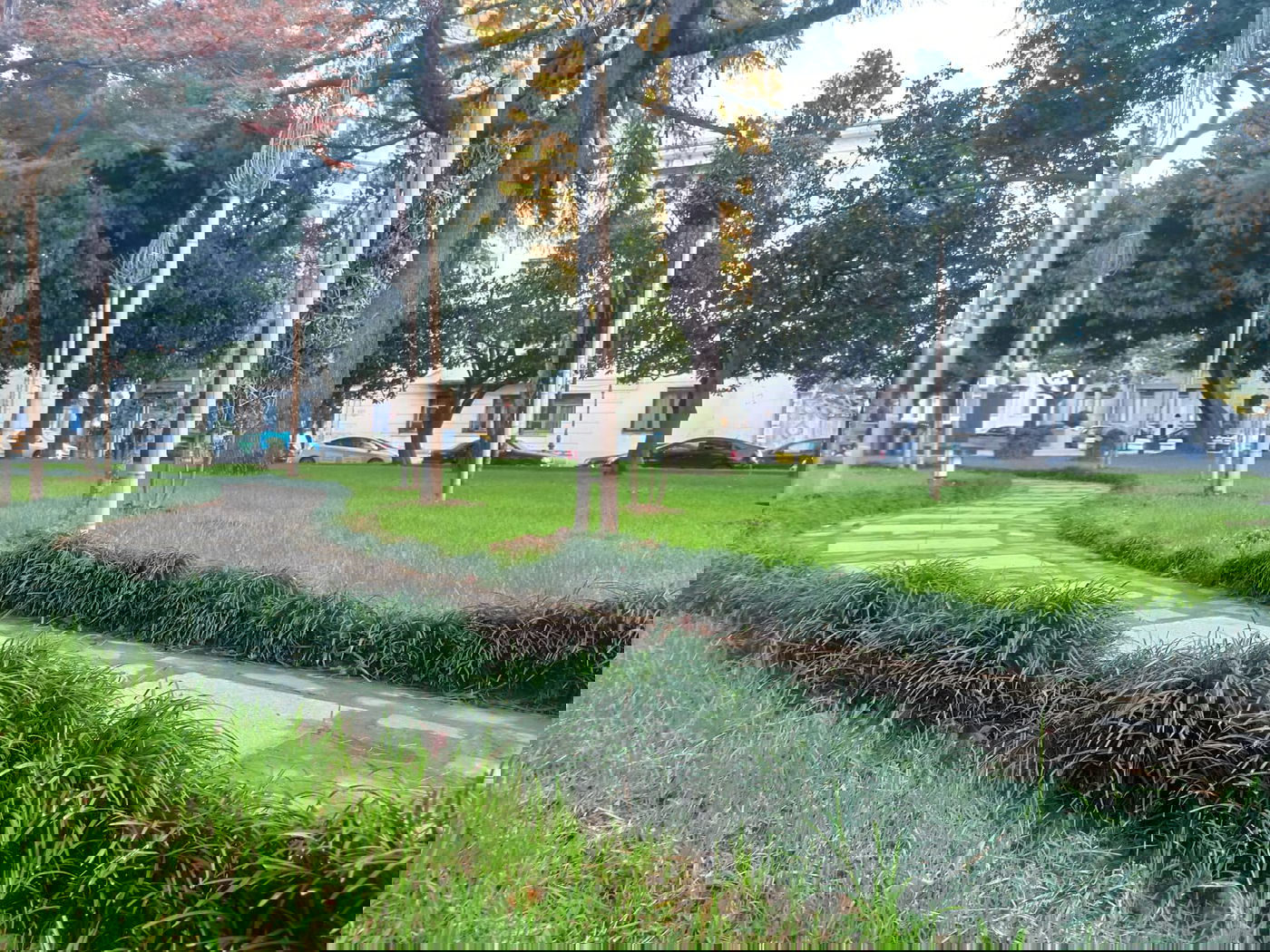 יופי גיאורגי כזה עוד לא ראיתם • תיעוד נרחב