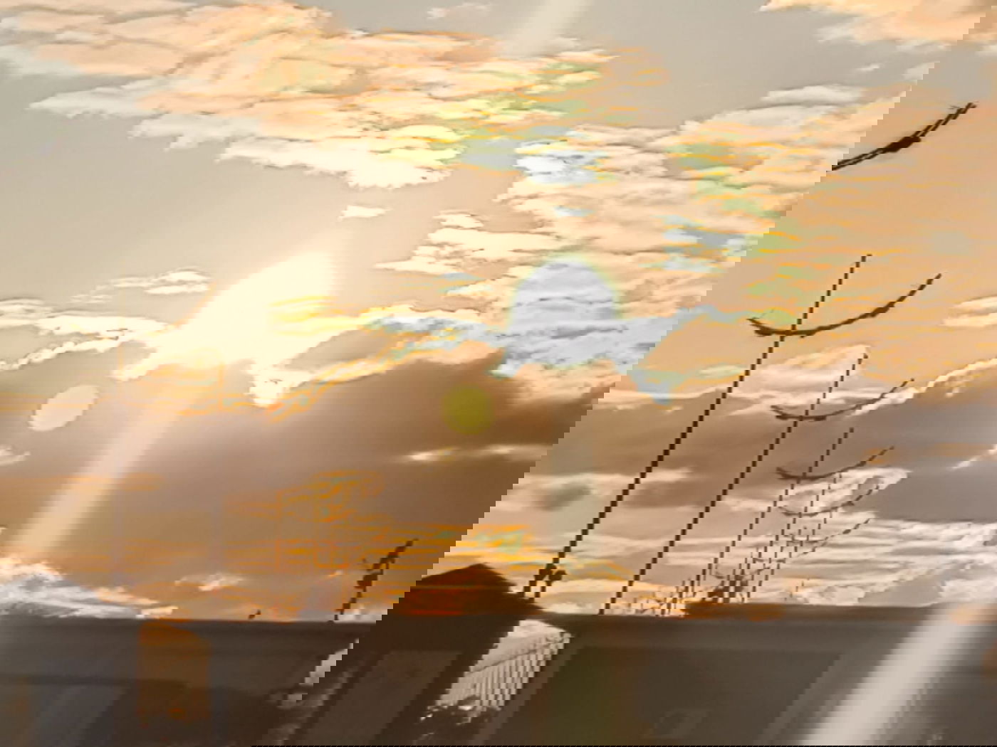 יופי גיאורגי כזה עוד לא ראיתם • תיעוד נרחב