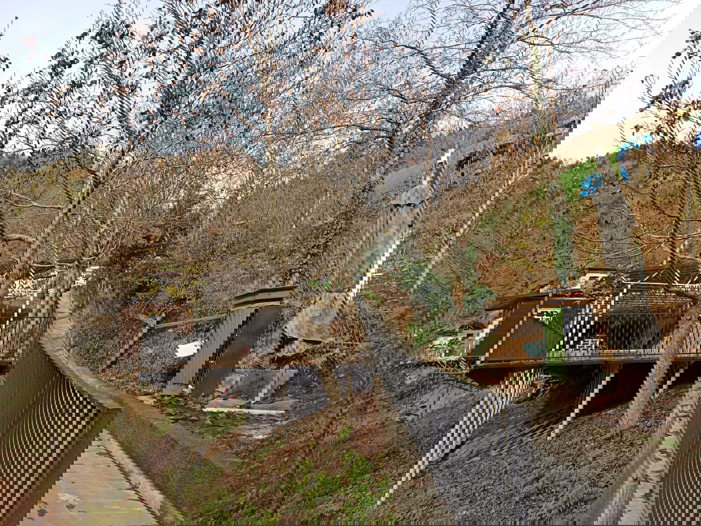 יופי גיאורגי כזה עוד לא ראיתם • תיעוד נרחב