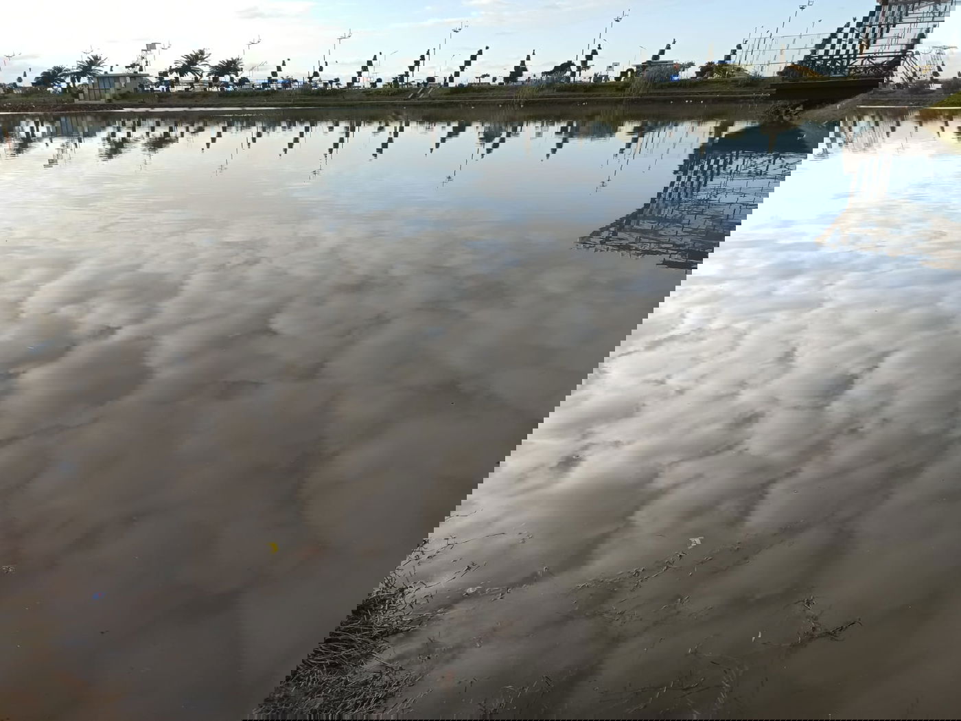 יופי גיאורגי כזה עוד לא ראיתם • תיעוד נרחב