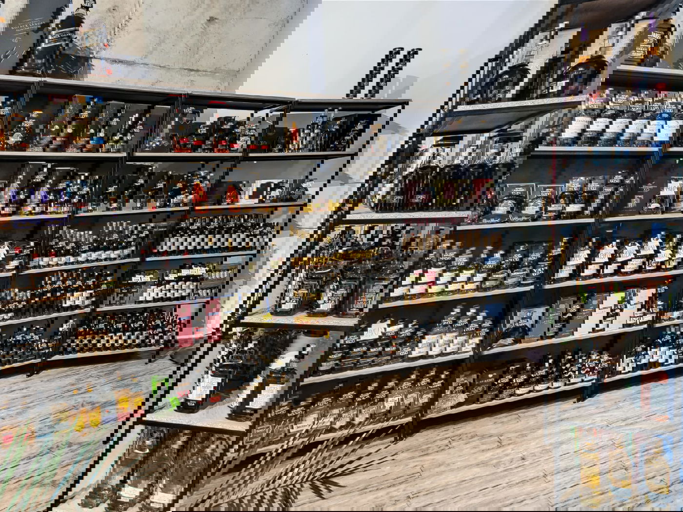 יופי גיאורגי כזה עוד לא ראיתם • תיעוד נרחב