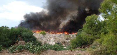 קו הבתים הראשון ביישוב שלומי - מפונה